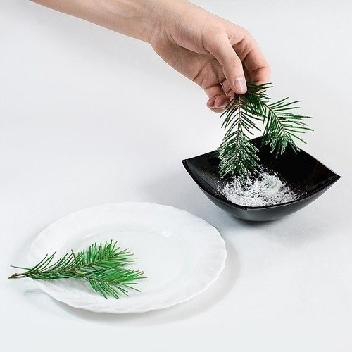 Мандариновое дерево Мандариновое дерево