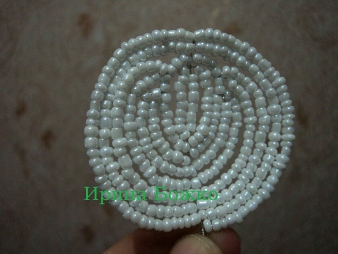 Белая орхидея