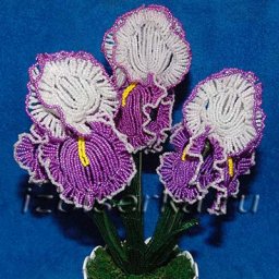 Прекрасные ирисы из бисера: мастер-класс