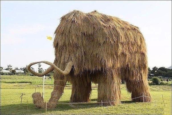 Соломенные шедевры