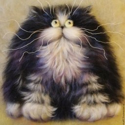 Вальяжный котик