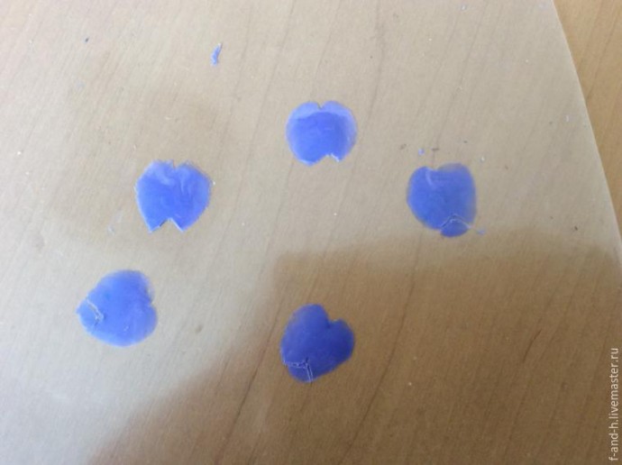 Цветок примулы