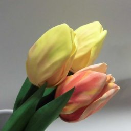 Тюльпаны из фоамирана: мастер-класс