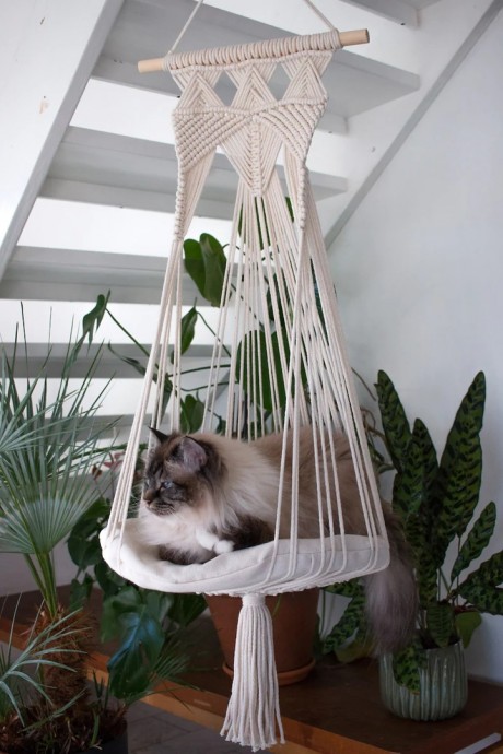 ​Идеи подвесных лежанок для кошек