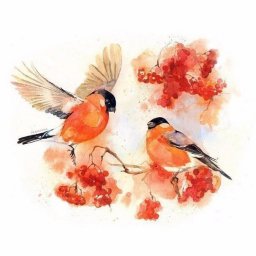 ​Рисуем снегирей акварелью