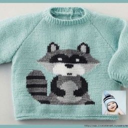 Душечка енот