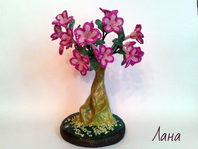 Бонсай адениум: мастер-класс