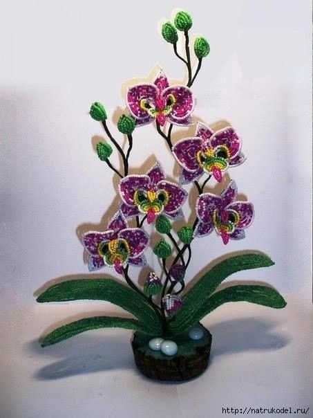 Красота для вашего вдохновения Красота для вашего вдохновения