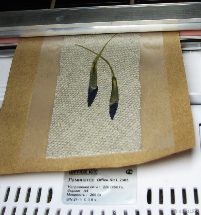 Оригинальная закладка своими руками