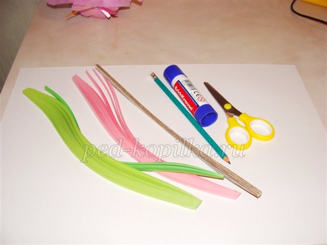 Тюльпаны в технике квиллинга: мастер-класс Тюльпаны в технике квиллинга: мастер-класс