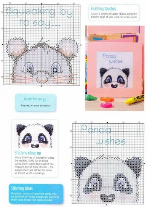 ​Кошки в карманах