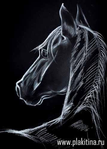 Рисуем белой пастелью черного коня