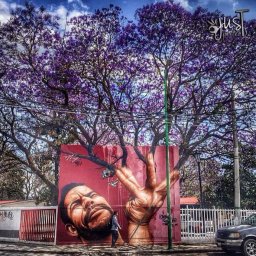 ​Стрит-арт с деревьями