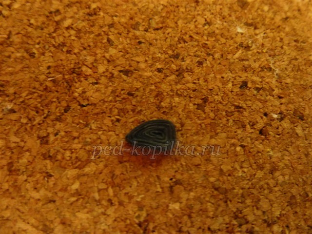 Картина в стиле квиллинг: мастер-класс