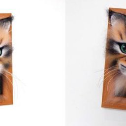 Валяние котика: мастер-класс