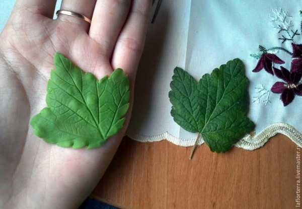 ​Черная смородина из холодного фарфора