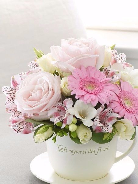 Цветочные композиции в чашках