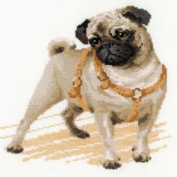 ​Собака перед прогулкой