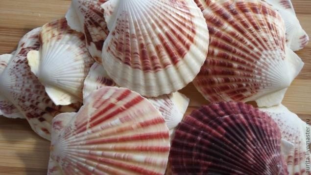 Кулон из ракушки "Хвост павлина"