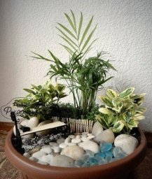 ​Маленький мир на вашем подоконнике