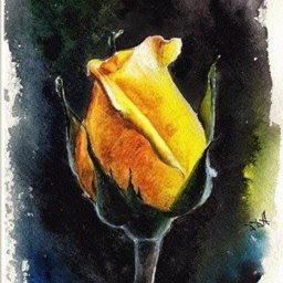 Рисуем желтую розу на черном фоне