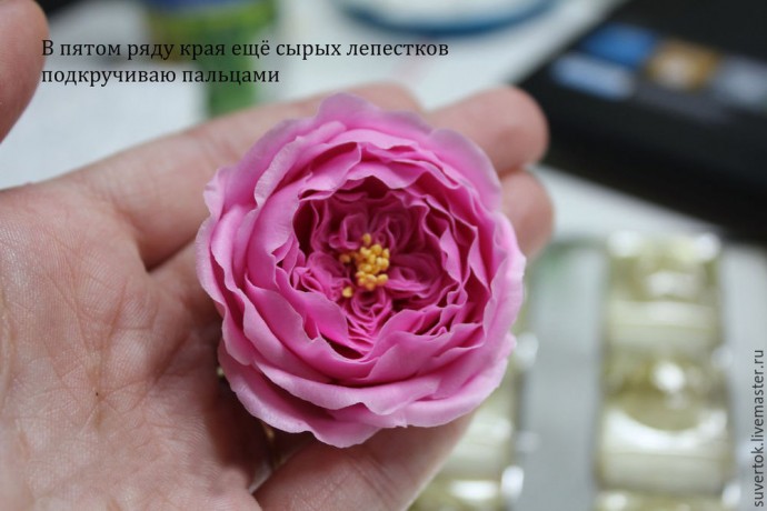 ​Английская роза из холодного фарфора