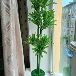 ​Драцена из бисера: идея для вдохновенного творчества