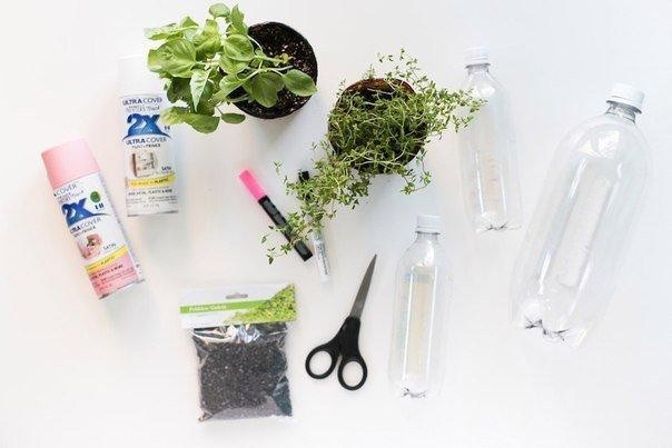 Растения в обрезанных пластиковых бутылках