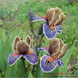Коричневый ирис из бисера