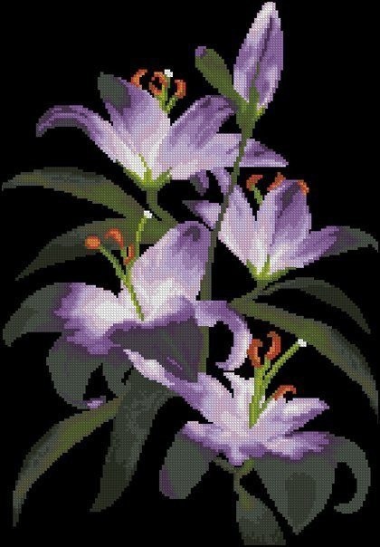 Шикарные фиолетовые цветы