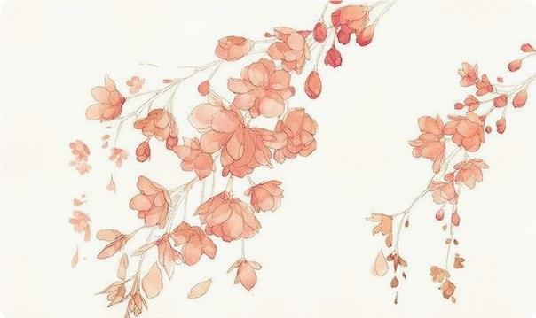 Учимся рисовать цвeты aквapeлью Учимся рисовать цвeты aквapeлью