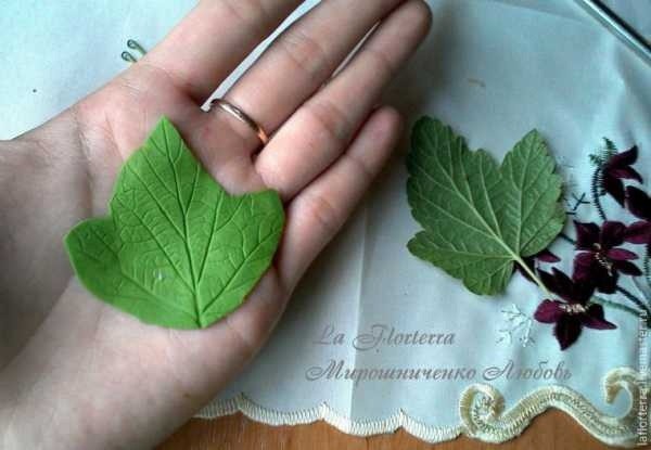 ​Черная смородина из холодного фарфора