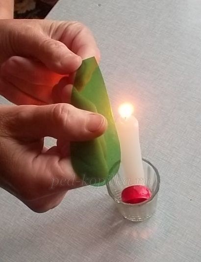 Цветы из пластиковых бутылок