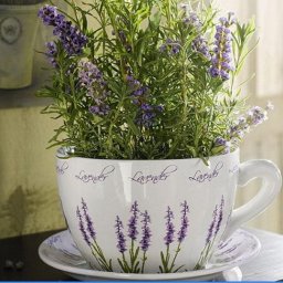 ​Вышиваем лаванду