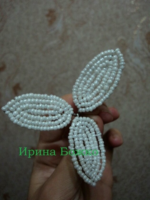 Белая орхидея