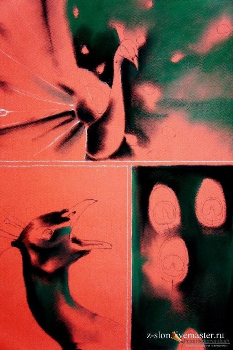 ​Рисуем павлина