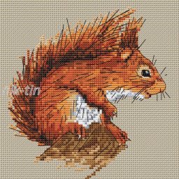 ​Хорошенькая белка