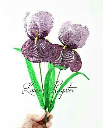 Красота для вашего вдохновения