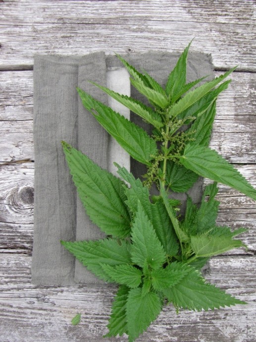 Сказочно-вкусное окрашивание тканей Сказочно-вкусное окрашивание тканей