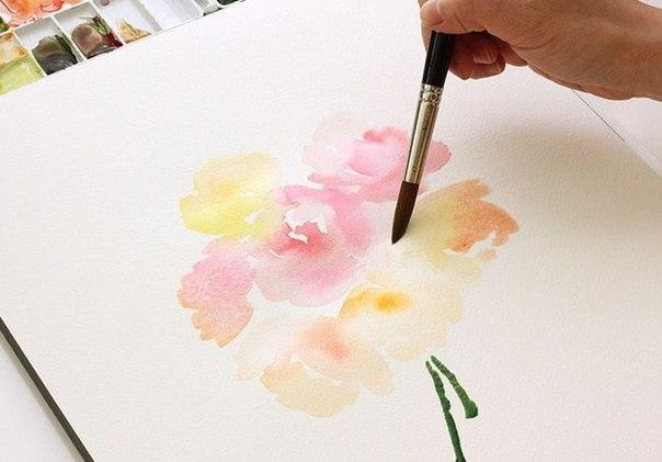 Нежные цветы акварелью