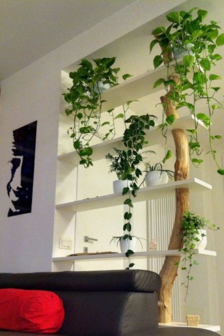 Идеи комнатных перегородок с помощью растений и деревьев