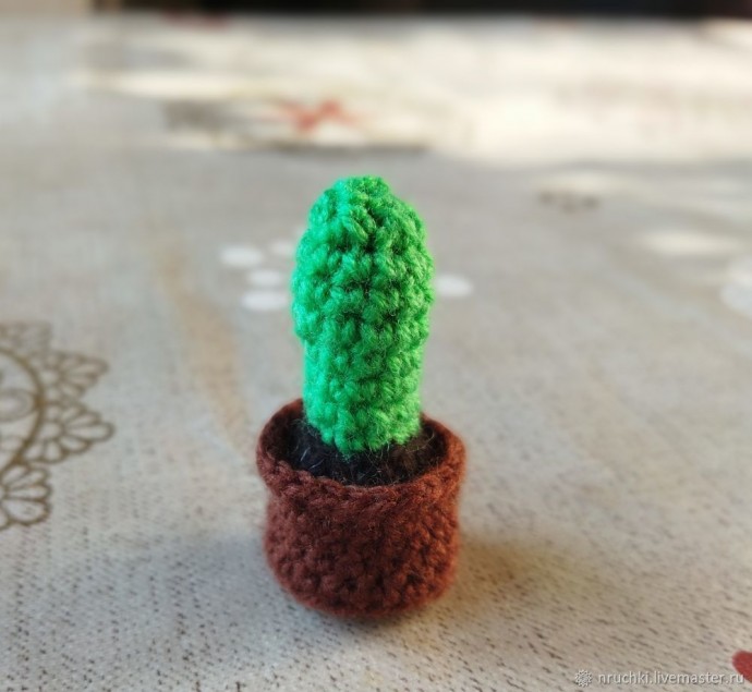 Вяжем мини-кактус Вяжем мини-кактус