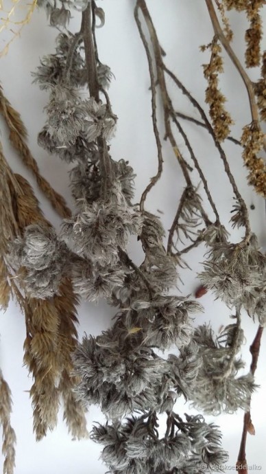 Панно с сухоцветами