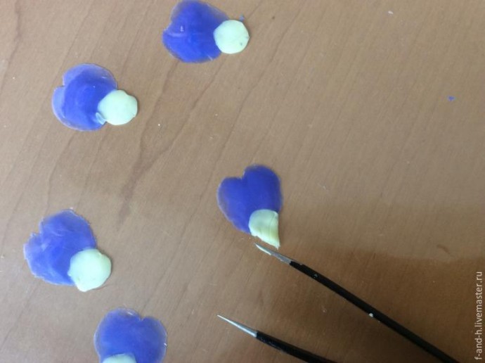 Цветок примулы