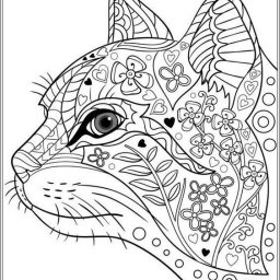 Антистрессовые кошки