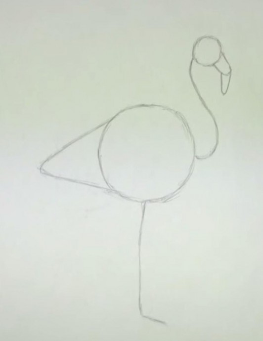 Рисуем фламинго