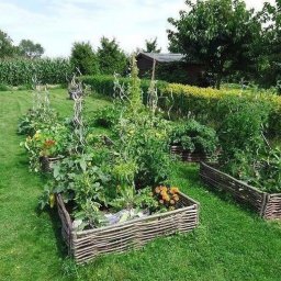 ​Высокие грядки своими руками