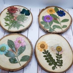 Аппликации из растений на спилах дерева