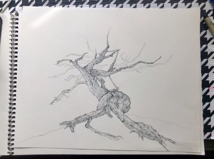 Рисуем дерево на горе: мастер-класс