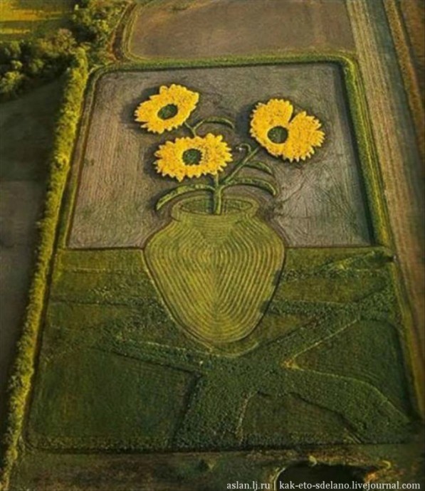 Картины трактором в полях